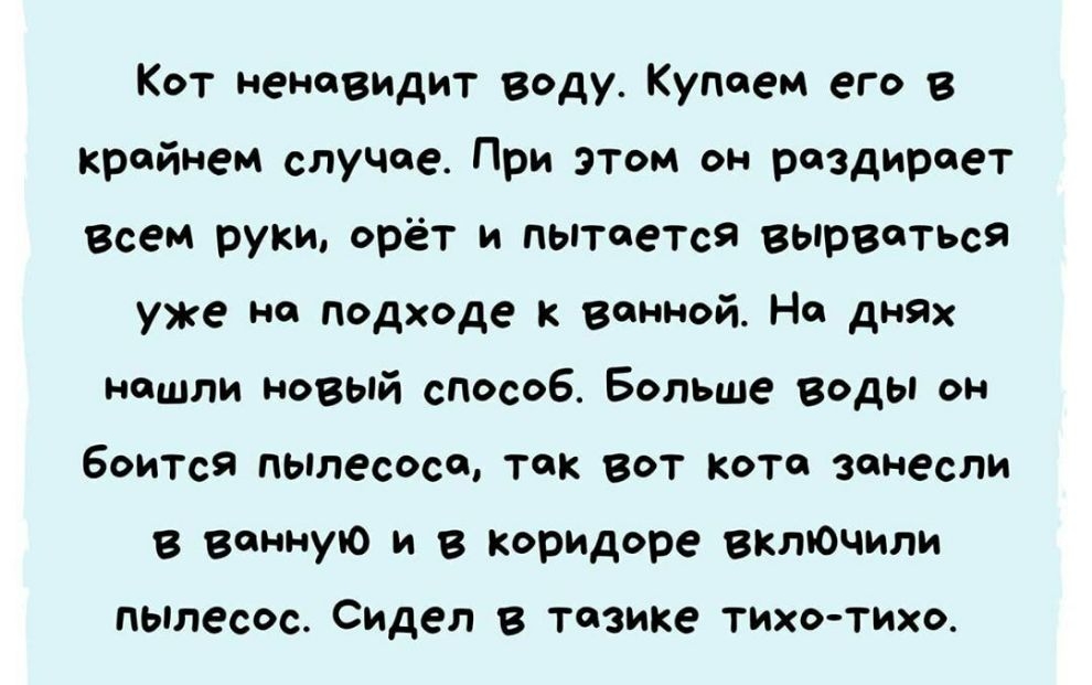 Кот ненавидит воду Купоем его в крайнем случае При этом он раздирает Всем руки орёт и пытается вырваться уже на подходе ванной На днях нашли новый слособ Больше воды он боится пылесосе так вот коте занесли В ванную и в коридоре акточили пылесос Сидел в танке ТИХОтихо
