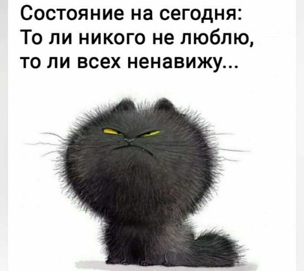 Состояние на сегодня То ли никого не люблю то ли всех ненавижу