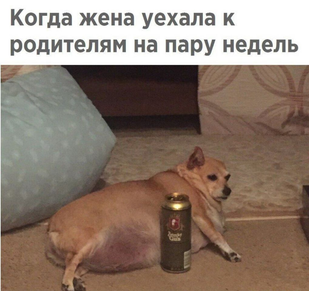 Когда жена уехала к роцителям на пару недель