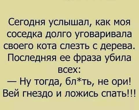 Сегодня услышал как моя соседка долго уговаривала своего кота слезть с дерева Последняя ее фраза убила всех Ну тогда блть не ори Вей гнездо и ложись спать