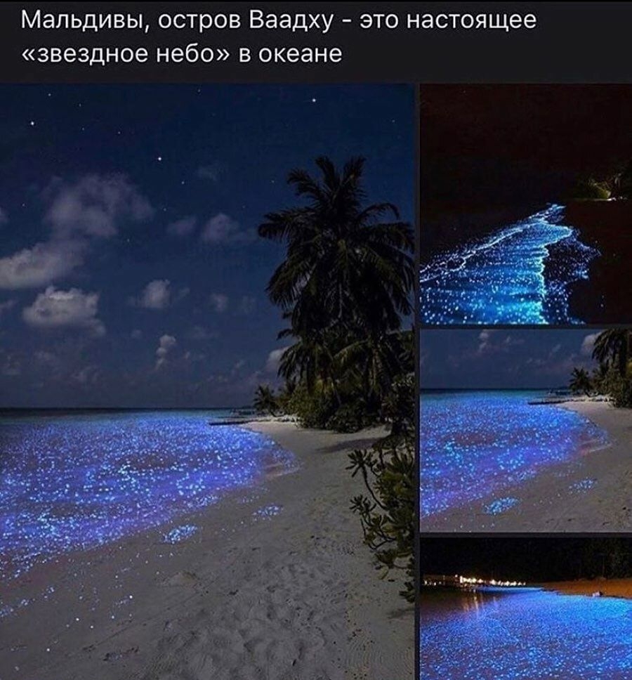 Мальдивы остров Ваадху это настоящее звездное небо в океане