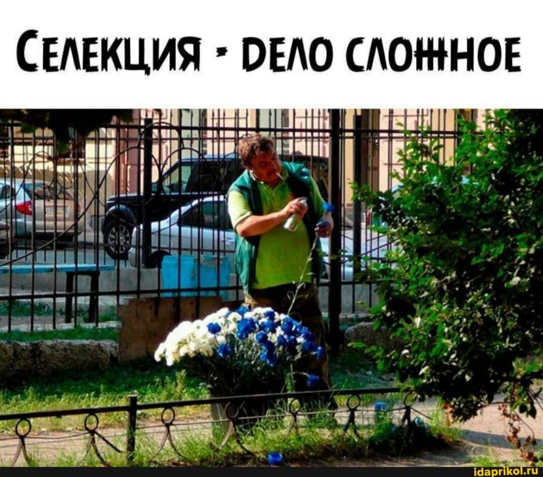 Санкция ОЕАО южное вън _ т ч ш д 2 _ в _ г _ т нЁч 12 _ _ в ёё РА _ ___