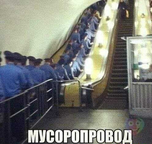 мпеогопговой
