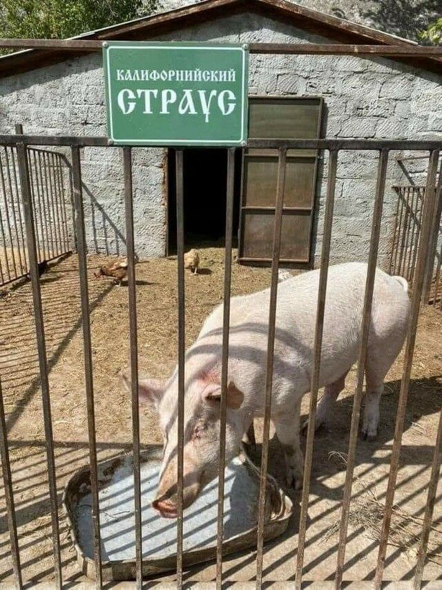 А Р Т он и к о й и м к