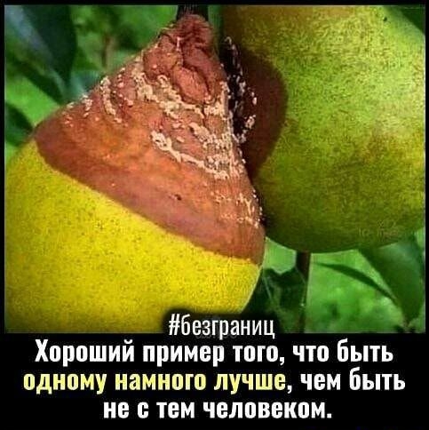 безграниц Хороший пример того что быть одному намного лучше чем Быть но с тем человеком