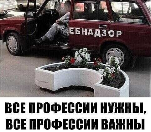 во профЕееии нищий ве пгофюеии вмнны