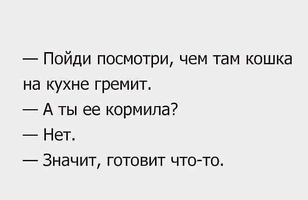 Пойди посмотри чем там кошка на кухне гремит А ты ее кормила Нет Значит готовит что то