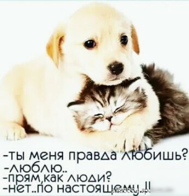 14 Ты меня правьа АЁБИШЬ АюбАю прямкак Аюьи нетпо настояцмаъ 9