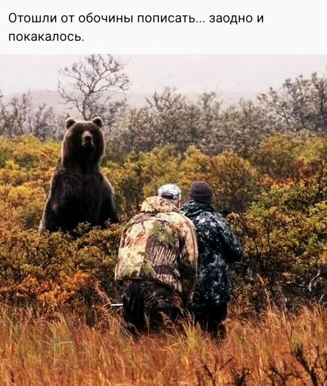 ЛИ ОТ ОбОЧИНЫ П ИСЭТЬ ЗЭОДНО И покакалось