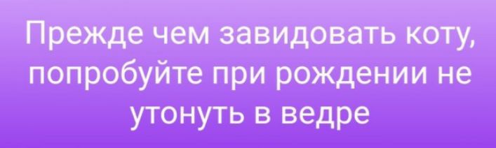 Првждечшзавидоватькту _ 3