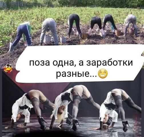 поза одна а заработки разныеэ