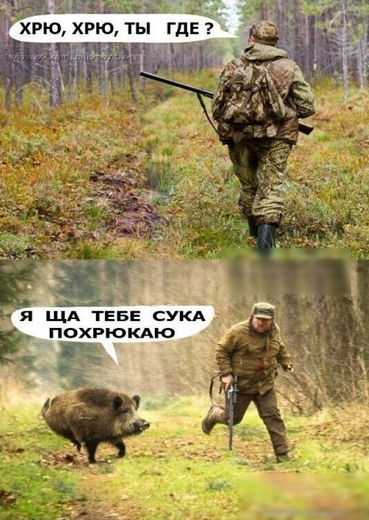 ХРЮ ХРЮ ТЫ ГДЕ