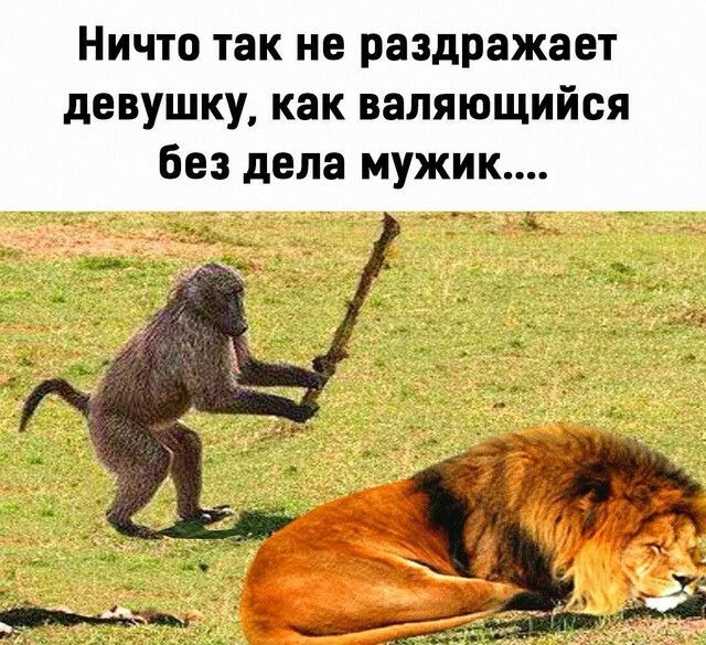 Ничто так не раздражает девушку как валяющийся без дела мужик