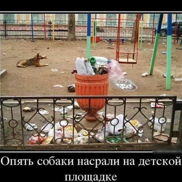 Опять собаки насрали на детской пло алке