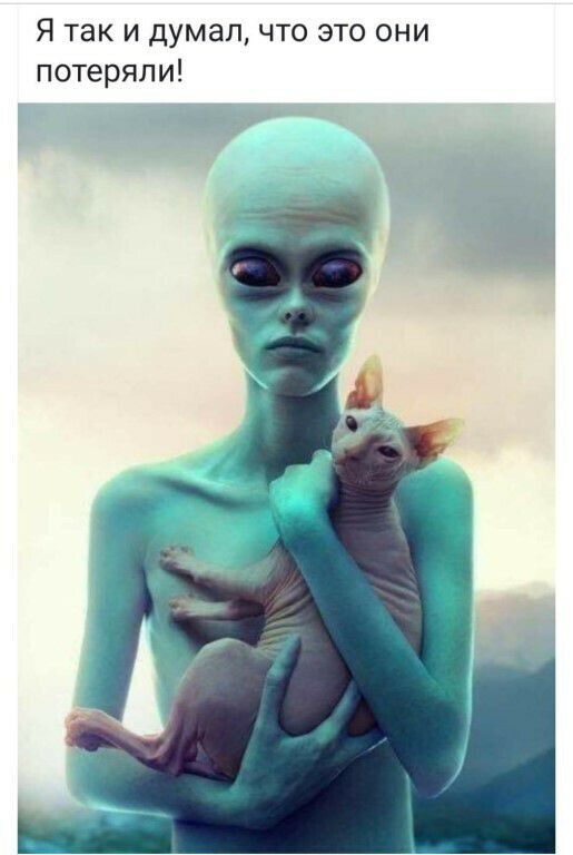 Я так и думал что это они потеряли