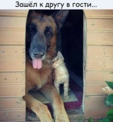 Зашёл к другу в гости