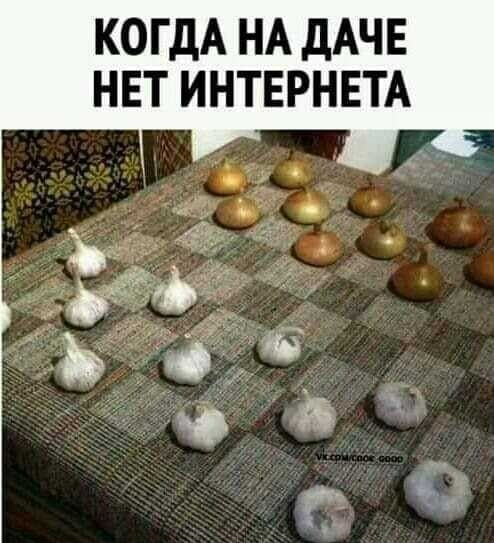 КОГДА НА ДАЧЕ НЕТ ИНТЕРНЕТА