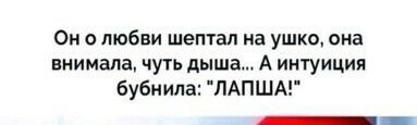 Он о любви шептал на ушко сна внимала чууь дыша А интуиции бубнила ПАПША
