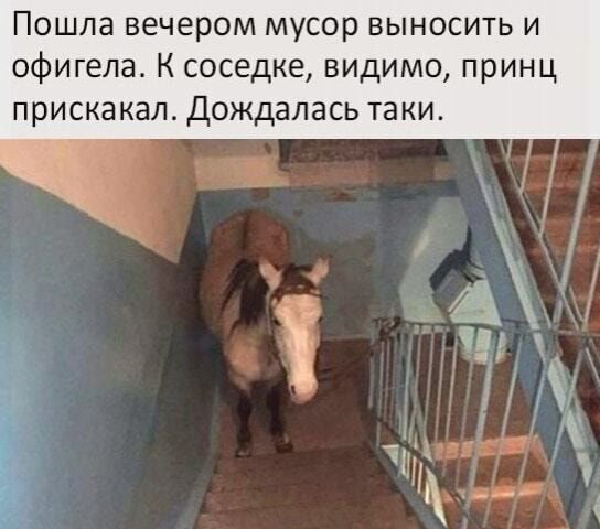 Пошла вечером мусор выносить и офигела К соседке видимо принц прискакал Дождалась таки