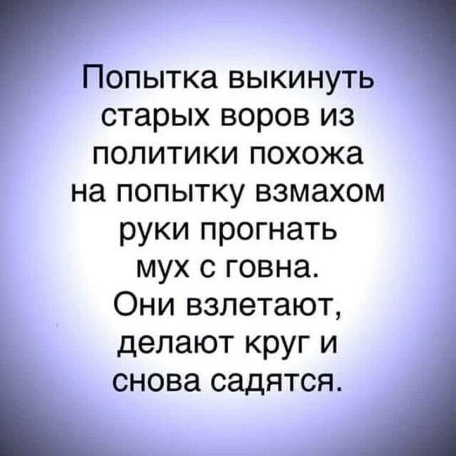 ПОПЫТКЭ ВЫКИНУТЬ старых воров из политики похожа на попытку взмахом руки прогнать мух с говна Они взлетают делают круг и снова СДЯТСЯ