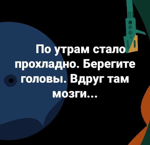 По утрам стало А прохладно Берегите головы Вдруг там мозги