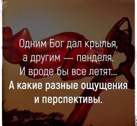 Одним Бог дал крылья а другим пенделя И вроде бы все летят А какие разные ощущения и перспективы
