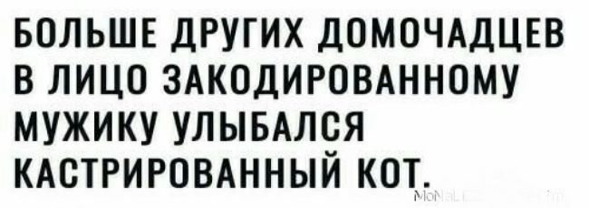 БОЛЬШЕ ДРУГИХ ДОМОЧАДЦЕВ В ЛИЦО ЗАКОДИРОВАННОМУ МУЖИКУ УЛЫБАЛСЯ КАСТРИРОВАННЫЙ КОТ