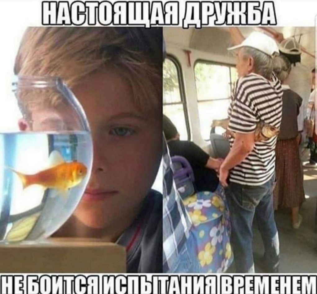 Боится ИВПЫГШНИП ВВЕМЁНЕМ