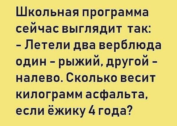 Школьная программа сейчас выглядит так Летели два верблюда один рыжий другой налево Сколько весит килограмм асфальта если ёжи ку 4 года