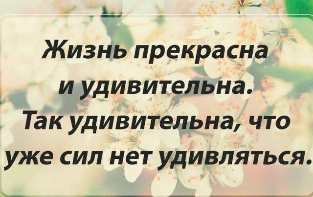 _ _ Жизнь прекрасна и удивительна Так удивительна что уже сил нет удивляться