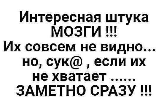Интересная штука МОЗГИ Их совсем не видно но сук если их не хватает ЗАМЕТНО СРАЗУ