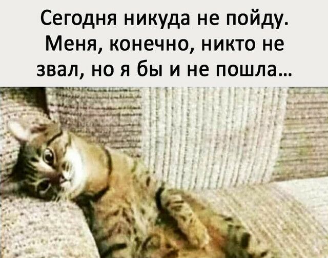 Сегодня никуда не пойду Меня конечно никто не звал но я бы и не пошла