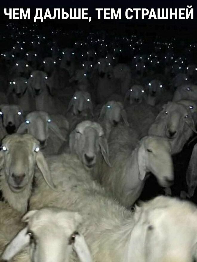 ЧЕМ ДАЛЬШЕ ТЕМ СТРАШНЕЙ