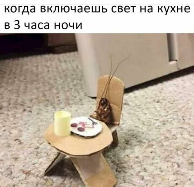когда включаешь свет на кухне в 3 часа ночи