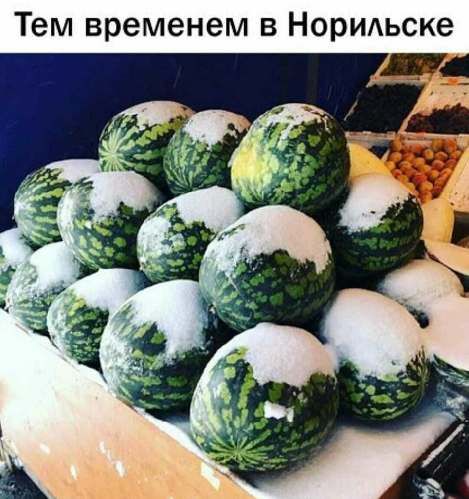 Тем временем в Норидьске