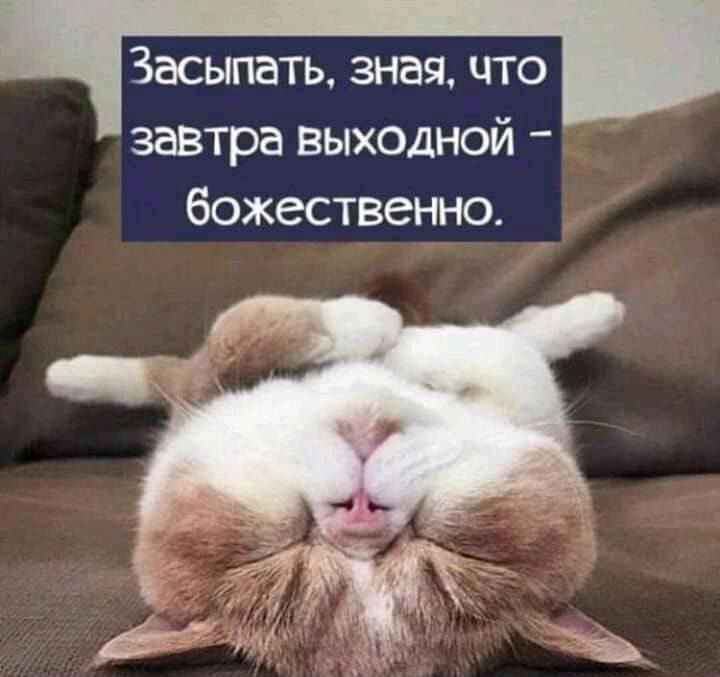 ч Засыпать зная что завтра выходной божественно