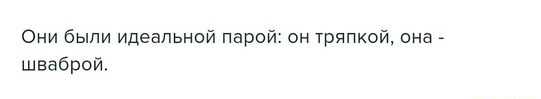 Они были идеальной парой он тряпкой она шваброй