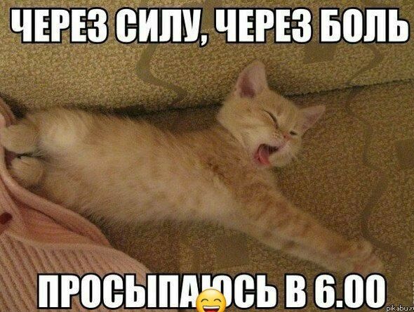 чтз сипи чтз Боль ПРШЁЫМЩЁЬ В 600