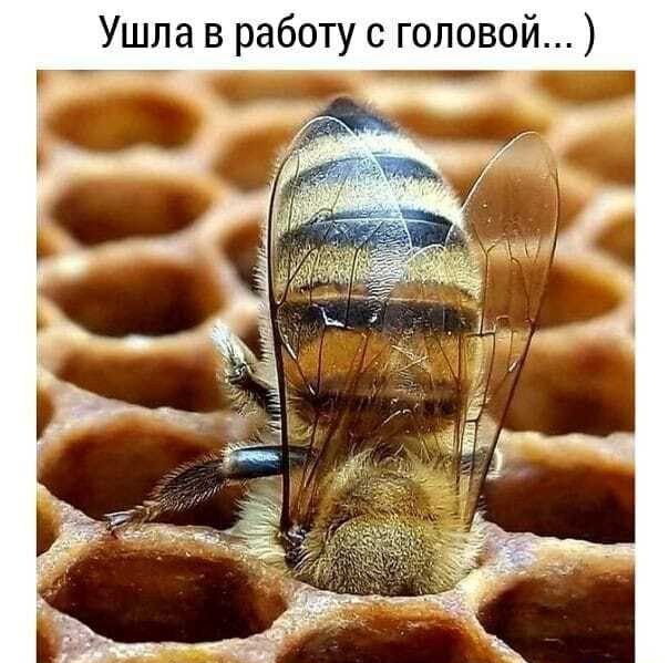 Ушла в работу с головой