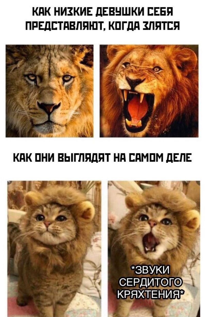 КПК НИЗКИЕ дЕВНШКИ ГЕЕЯ ПРЕДЕТПВППШТ КПГДП ПЯТЕЯ
