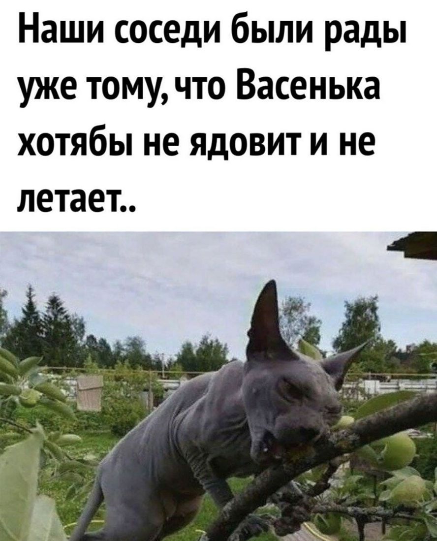 Наши соседи были рады уже тому что Васенька хотябы не ЯдОВИТ и не летает