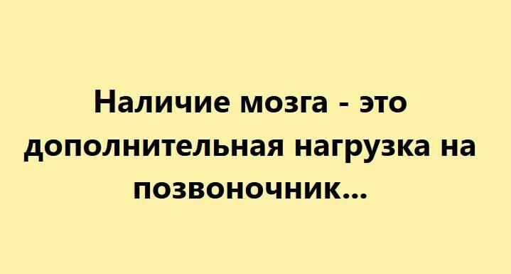 наличие мозга ЭТО дополнительная нагрузка на ПОЗВОНОЧНИК