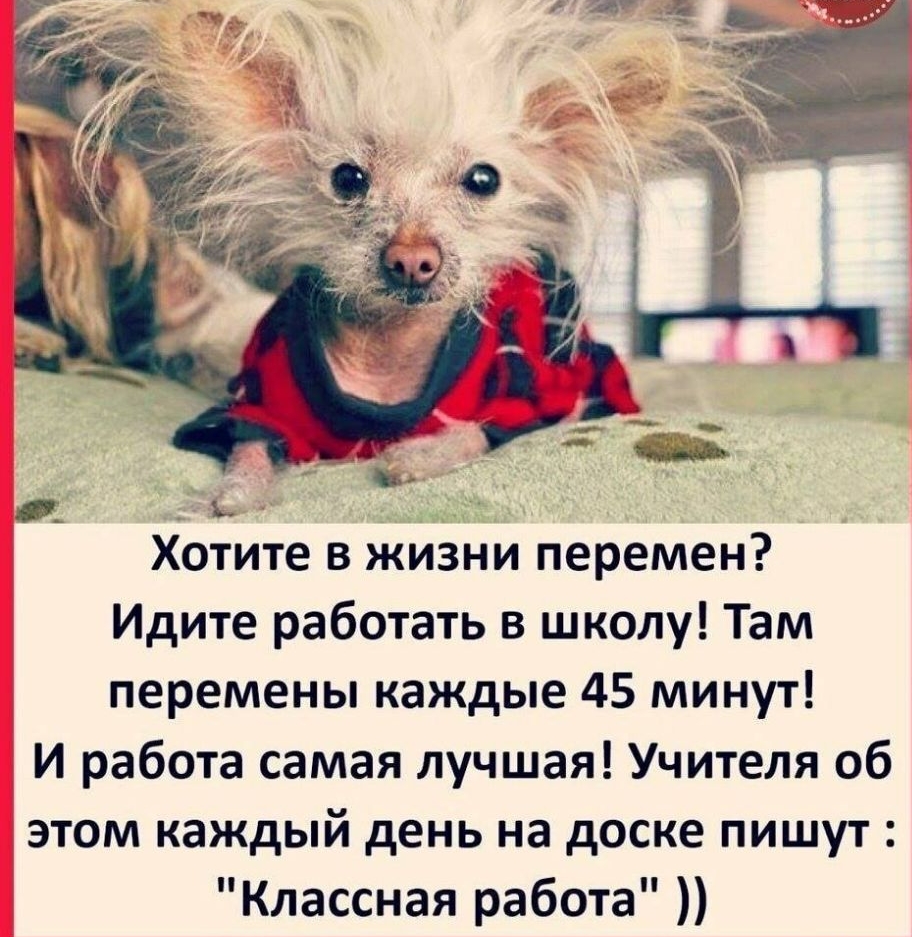 _ь Хотите в жизни перемен Идите работать в школу Там перемены каждые 45 минут И работа самая лучшая Учителя об этом каждый день на доске пишут Классная работа