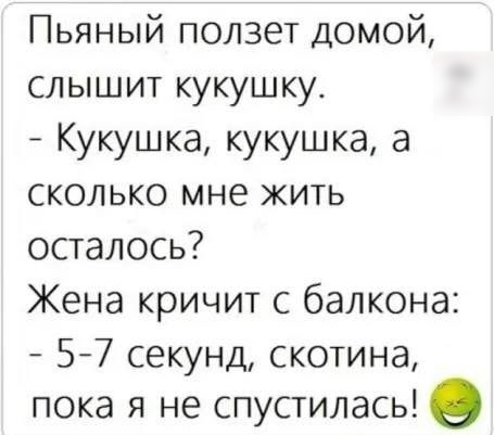 Пьяный ползет Домой слышит кукушку Кукушка кукушка а сколько мне жить осталось Жена кричит с балкона 57 секунд скотина пока я не спустилась о
