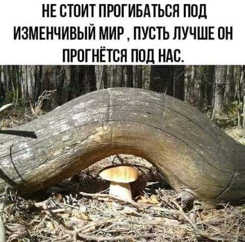 НЕ СТПИТ ПРПГИБАТЬВН ПОЦ ИЗМЕНЧИВЫЙ МИР ПУСТЬ ЛУЧШЕ ПН ПРОГНТСН ПОД НАБ