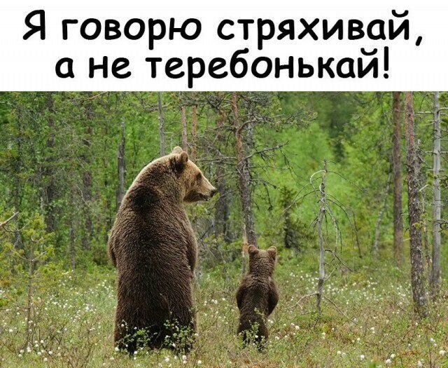 Я говорю стряхивай а не теребонькаи