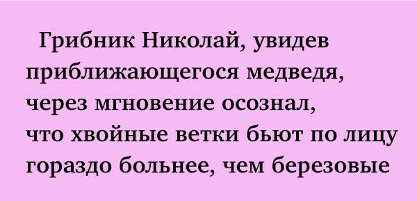 Грибник Николай увидев приближающегося медведя через мгновение осознал что хвойные ветки бьют по лицу гораздо больнее чем березовые