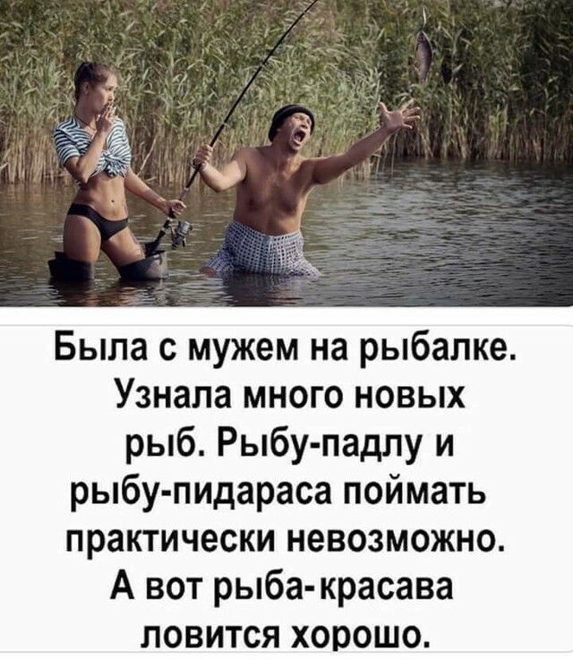 Была с мужем на рыбалке Узнала много новых рыб Рыбу падлу и рыбу пидараса поймать практически невозможно А вот рыба красава ловится хорошо