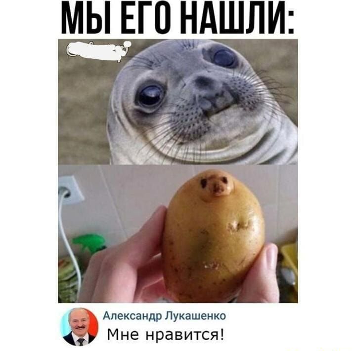 МЫ ЕГО тд АШЛИ _ Александр Лукашенко М не нравится