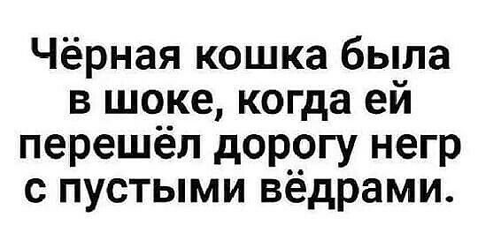 Чёрная кошка была в шоке когда ей перешёл дорогу негр с пустыми вёдрами